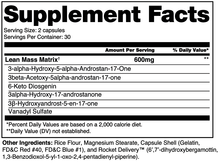 Load image into Gallery viewer, NOTORIOUS